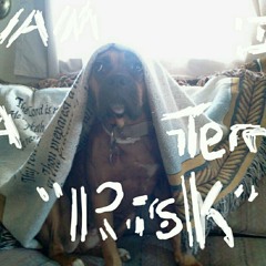 Lemme Teach You How To Play The Trump Card.mp3