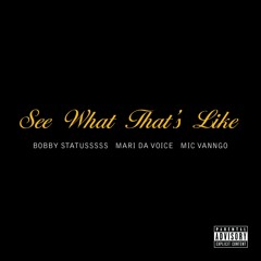 "See What Thats Like" Bobby Statusssss x Mari the Voice x Mic Vanngo (Produced By: D. Hall)
