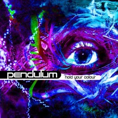 Pendulum - Hold Your Colour (Bryzone Remix)