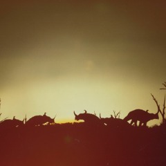 Phil Tippett : Mad Dreams and Monsters - "Conceptual Artist"