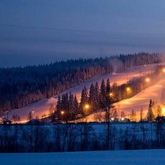♥ski♥