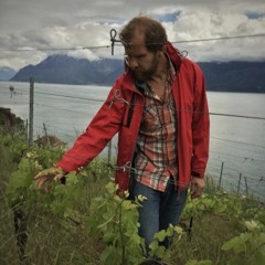 Pierre Fonjallaz Biodynamic Winemaker- Cooee! Podcast