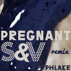 Phlake - Pregnant (S&V Remix)