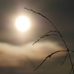 Good As Gone - J. Läntinen & K. Kuparinen