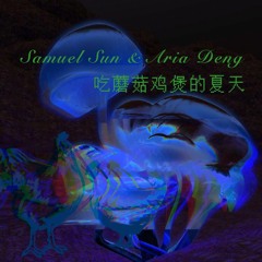 Samuel Sun & Aria Deng - 吃蘑菇鸡煲的夏天