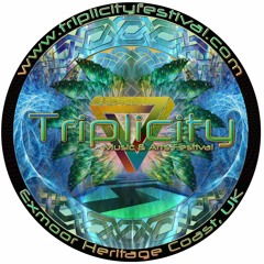 Triplicity 2016