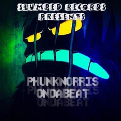 PhunkNorris8