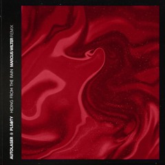 Autolaser & PLS&TY - Hiding From The Rain (Marcus Wilter Remix)