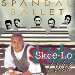 "I Wish I Was True"(Spandau Ballet Vs. Skee - Lo)Grave Danger Mashup