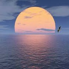 Zara Larrson- Uncover by Montaye Hartz(Cover)