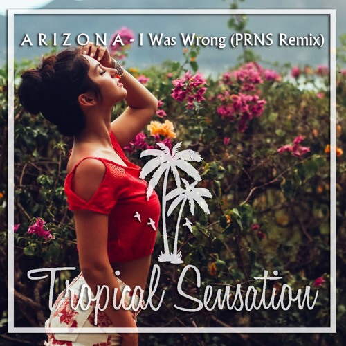 A R I Z O N A - I Was Wrong (PRNS Remix) Free Download