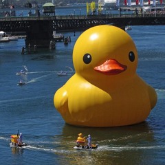 Panama Cardoon - The Rubber Duck 2