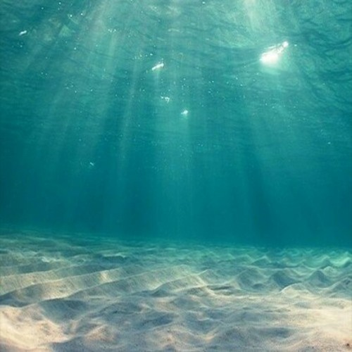 Pig & Dan - Growler vs Rhythm of the night ( HILO edit)