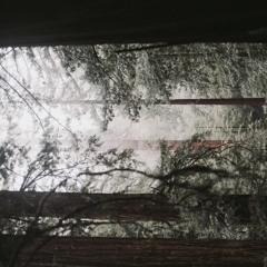 Young Adventurez at A Wild City