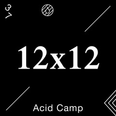 Acid Camp Vol. 37 - 12x12