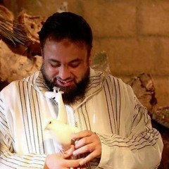 بيت فاطمة - ح12 - "السيد المبارك"  أ. وجدان العلي