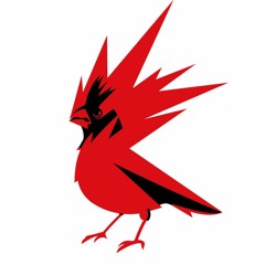 22-CD Projekt Red