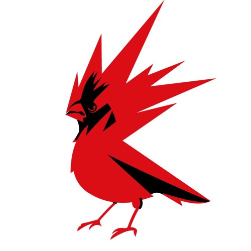 22-CD Projekt Red