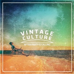 Vintage Culture - Deep Inside - After Party Is Calling