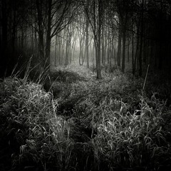 As The Twilight Puzzle Unfolds intro