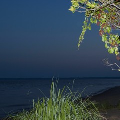 The Lawn Grows One Blade At a Time: The Story of a Hip Hop Song Without Words