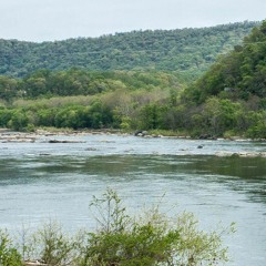 Shenandoah - Farewell, My Homeland
