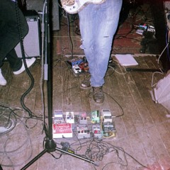Mind In Bloom - Disassaociate
