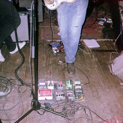 Mind In Bloom - Disassaociate
