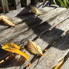 再見我的愛人goodbye my love