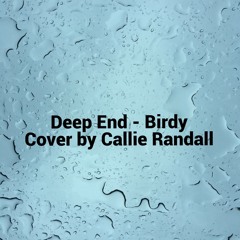 deep end x birdy (cover)
