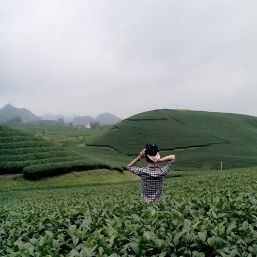 Còn Là Gì Của Nhau?