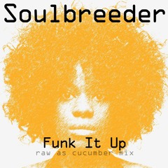 Soulbreeder - Funk It Up (Raw As Cucumber Mix)