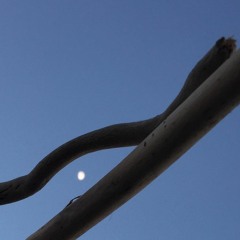 Pwrdwn + IidaK - .>* (+M. Atkinson)