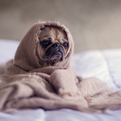 Эцсамое