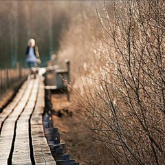 Bai Khong Ten So 5 Phuong Nghi Beat