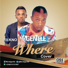Tekno And Gentle - Where  Cover Prod By Selebobo