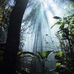 That Jungle love !!!