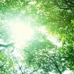 Verdure(Royalty Free Music)