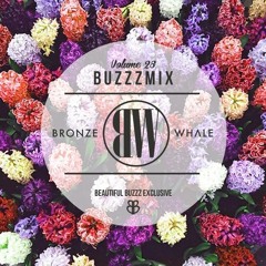 Buzzzmix Vol. 28 - Bronze Whale