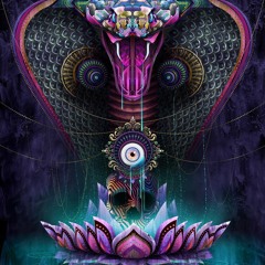 Venom (Out now on Future Roots)