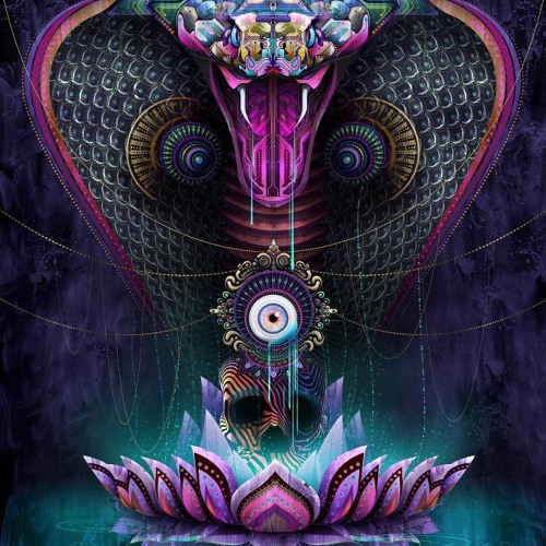 Venom (Out now on Future Roots)