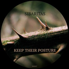 Sibaritas - From Me To You (Original Mix)