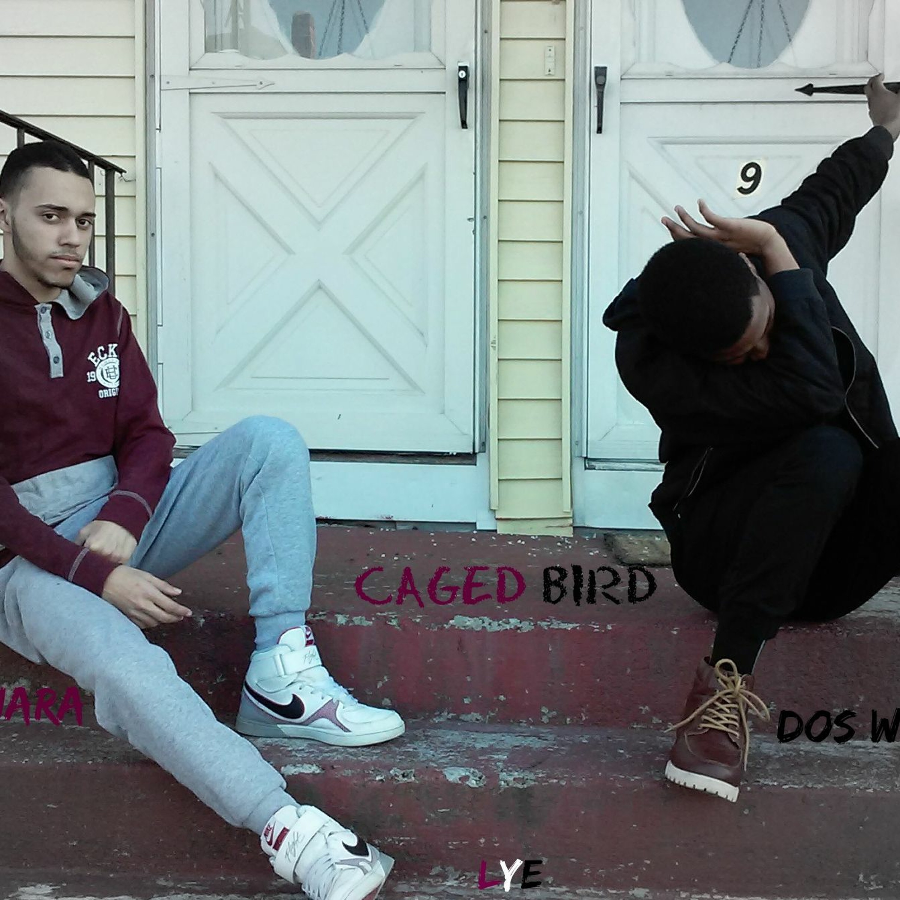 King Vibez