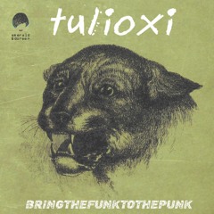 Tulioxi - Bring The Funk To The Punk (Cannibal Ink Remix)