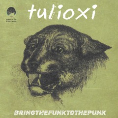 Tulioxi - Bring The Funk To The Punk