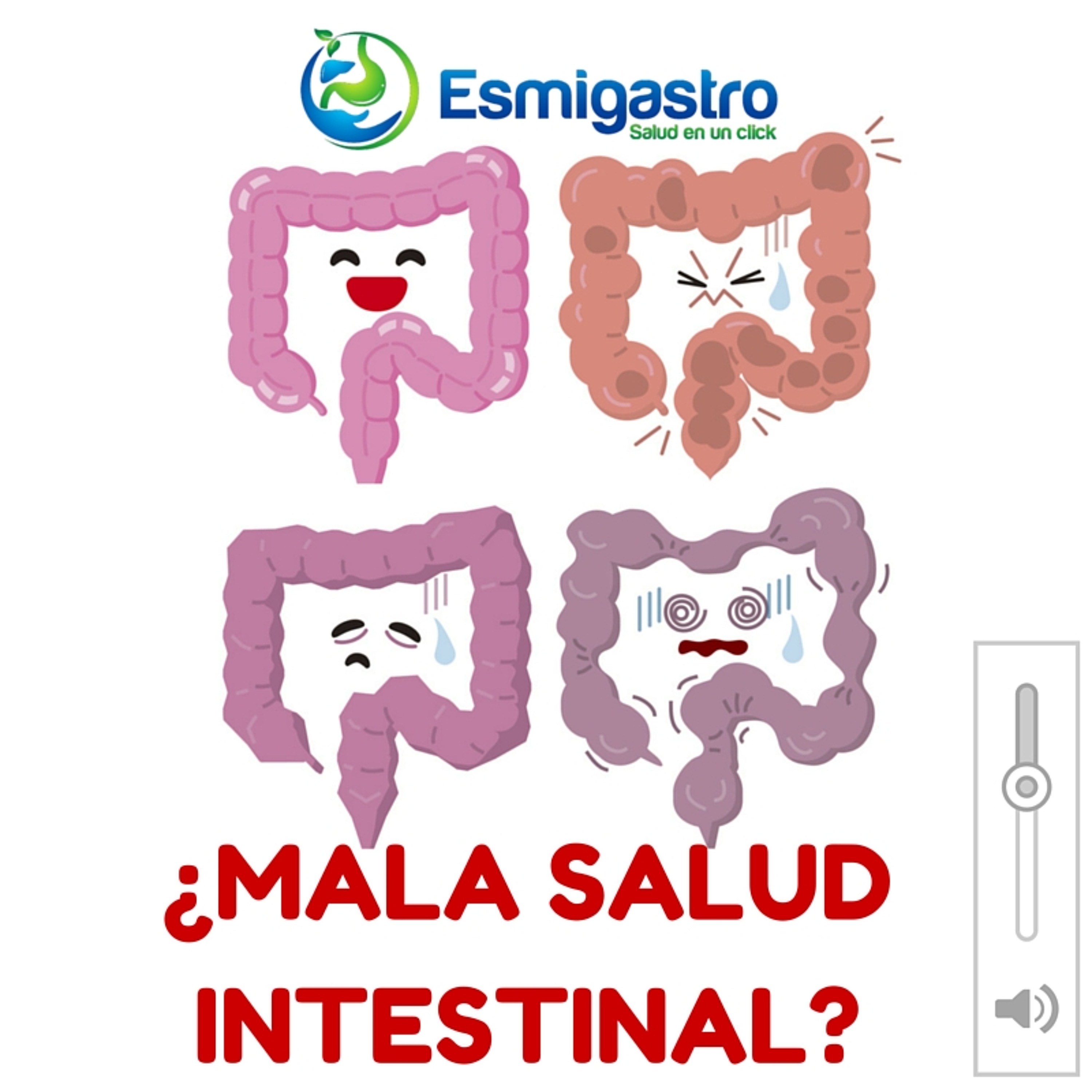 ¿Qué debo hacer si tengo mala salud digestiva? episode artwork