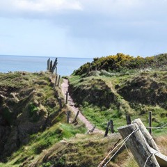 Ah, a Simple Little Yoke - Jig