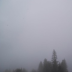 Home is where you want it to be - live