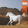 (No Copyright Music) Wild Horse - Action & Sports Background Instrumental Music (DOWNLOAD MP3)