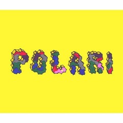 DISCO POLARI